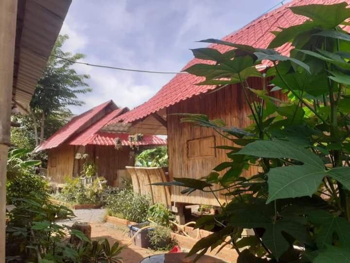 Odambang Village Homestay Battambang Dış mekan fotoğraf