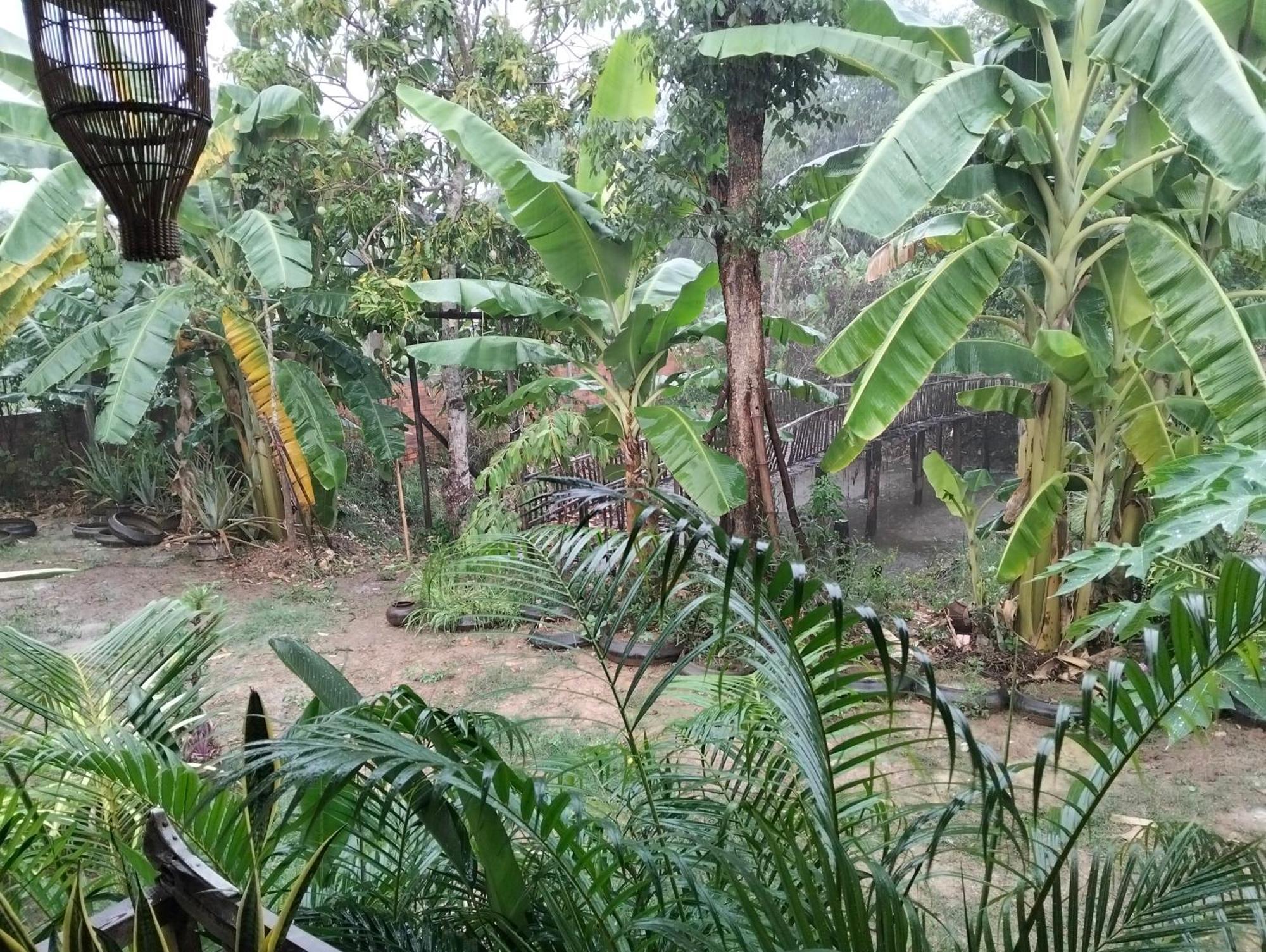 Odambang Village Homestay Battambang Dış mekan fotoğraf